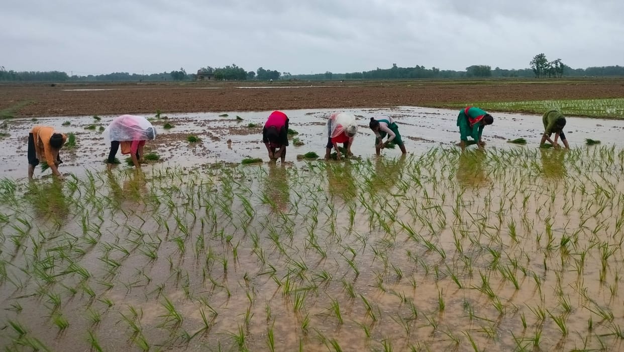 Monsoon arrived ten days late