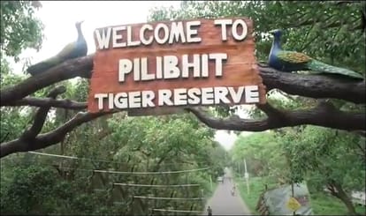 Farmers protested against tiger attack in Pilibhit