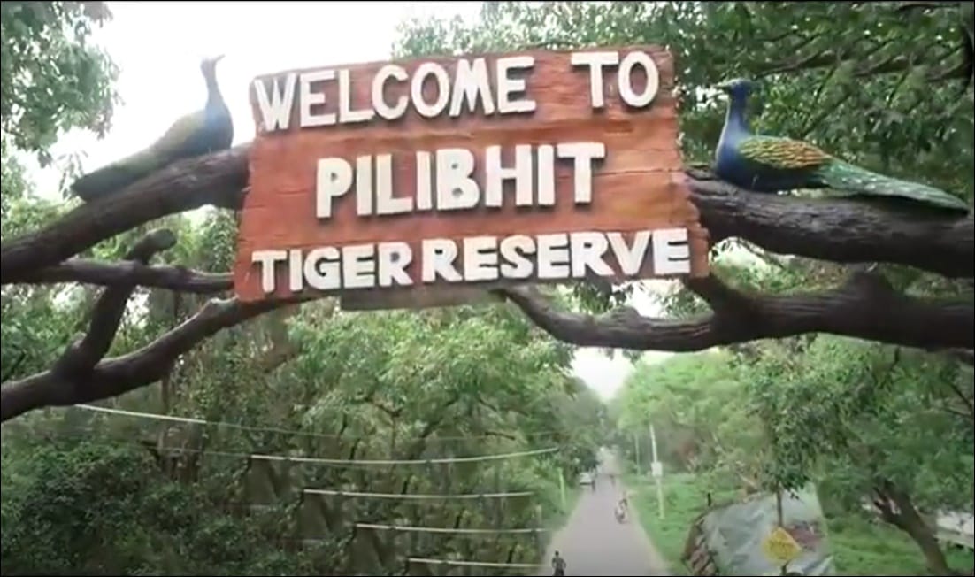 Alert issued regarding hunting of wildlife, increased vigilance in PTR as well