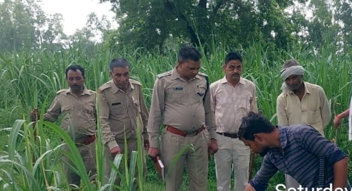 Panic in many villages due to the presence of tiger near the population
