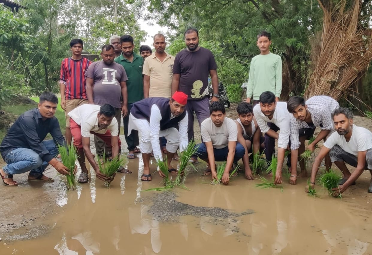 SPs demonstrated by planting paddy on the Barhaj-Nadua road