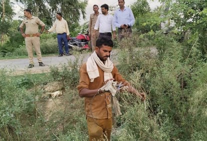 Blade wire removed from fields by campaign