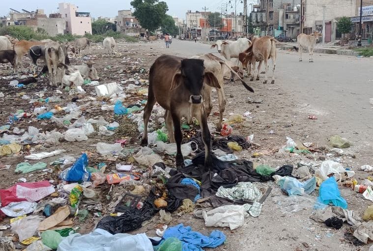 Rs 5 crore tender approved for door-to-door garbage collection