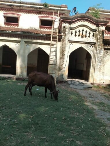 Power cut became painful in humid summer