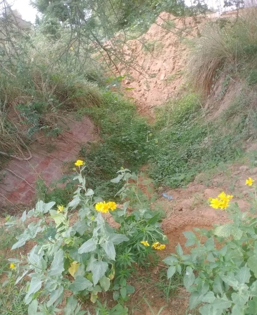Forest division and irrigation department got entangled for one and a half year, work of three and a half crore canal project stuck