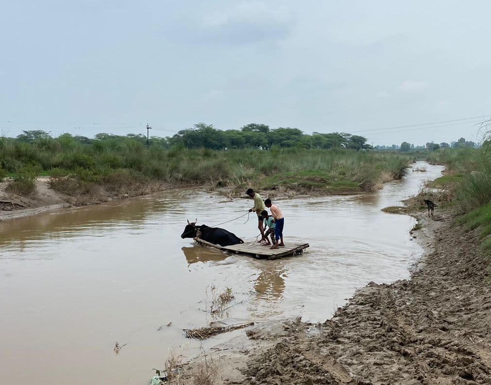 People risk their lives to cross the Malan river between Pundrikala-Barampur road