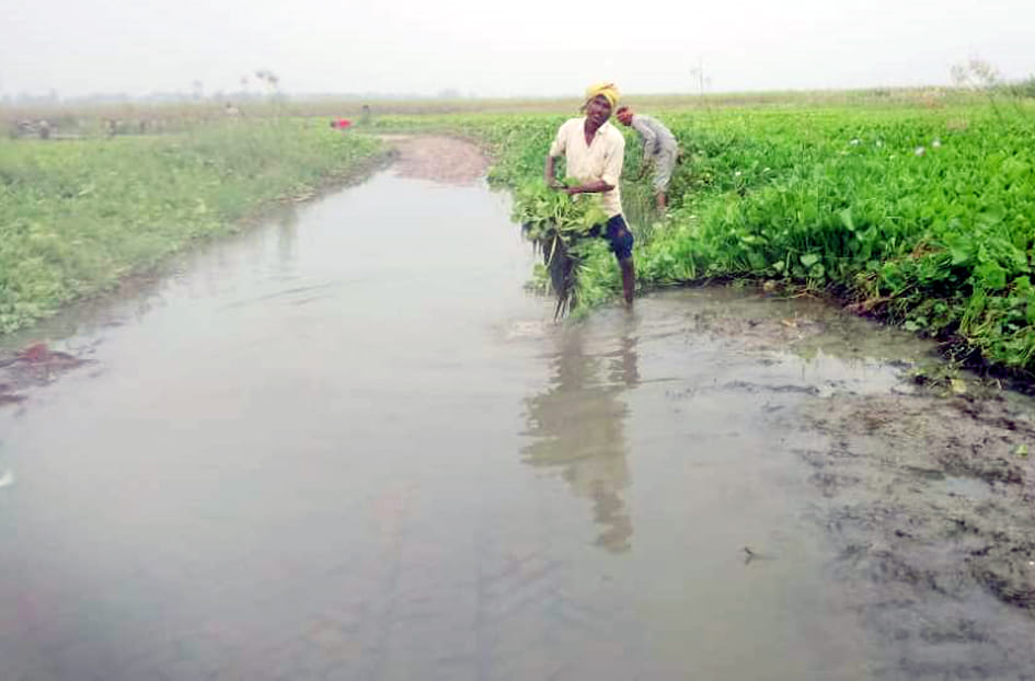 Terai drenched by torrential rains for two hours