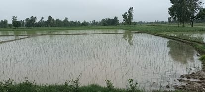 Heavy rains on the first day of Sawan, farmers danced with joy