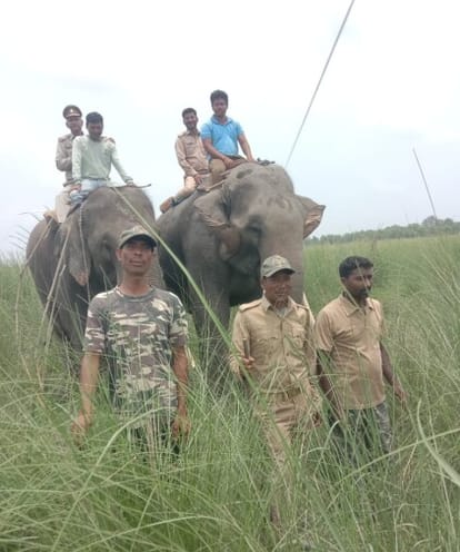 Vigilance increased in Lagga Bhagga forest, patrolling by elephants