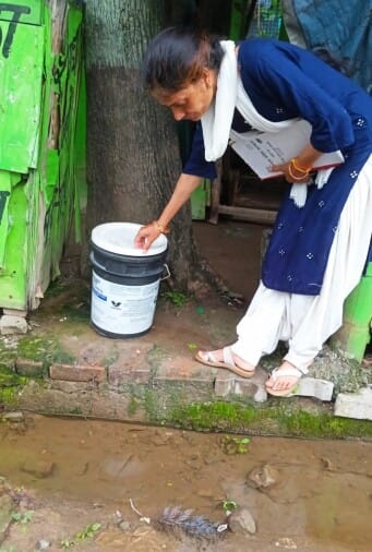 Investigation of 203 houses, dengue larvae found in 15