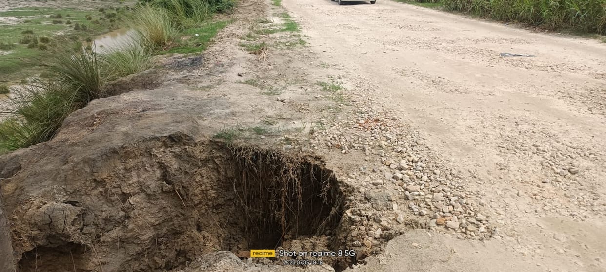 porcupine and mouse hole