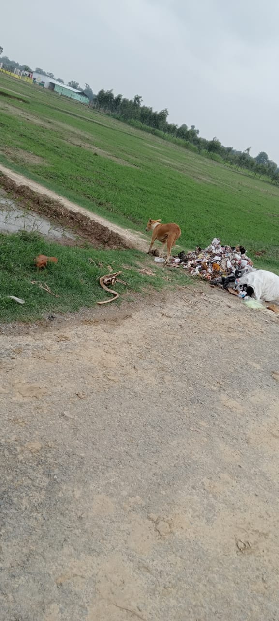 Cleaners keeping garbage on the roadside instead of garbage plant center