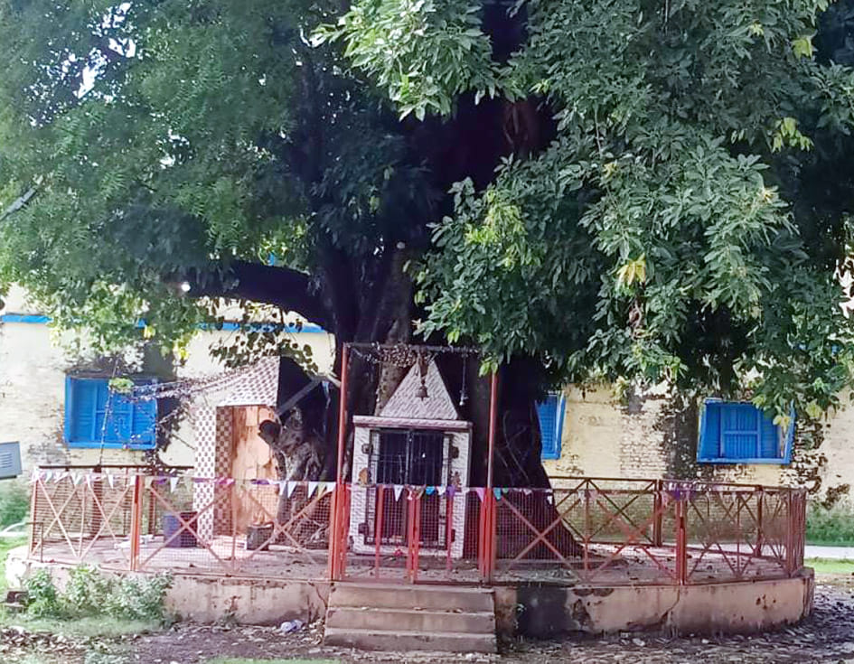 Devotees throng the temples on the first day of Sawan month