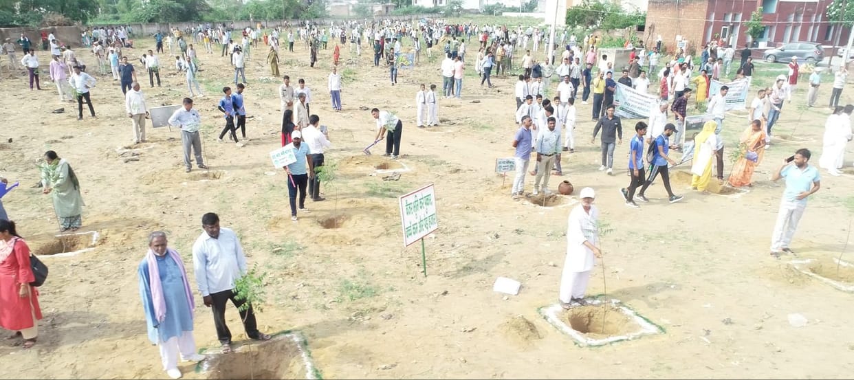 Resolve to make Mahendragarh green, 5 lakh saplings planted in a single day