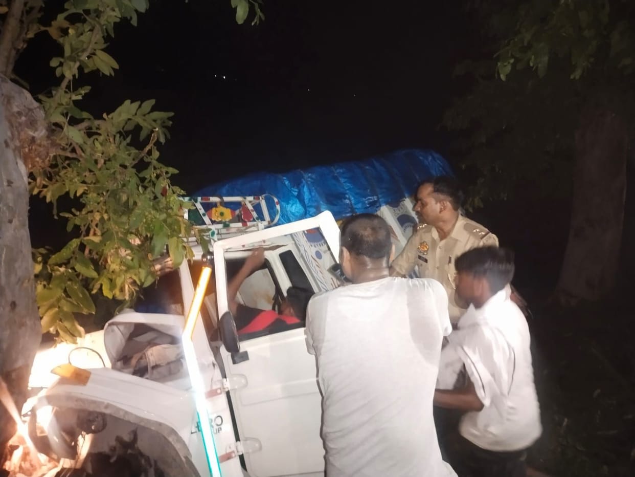 Pickup collided with tree while saving Nilgai, three died