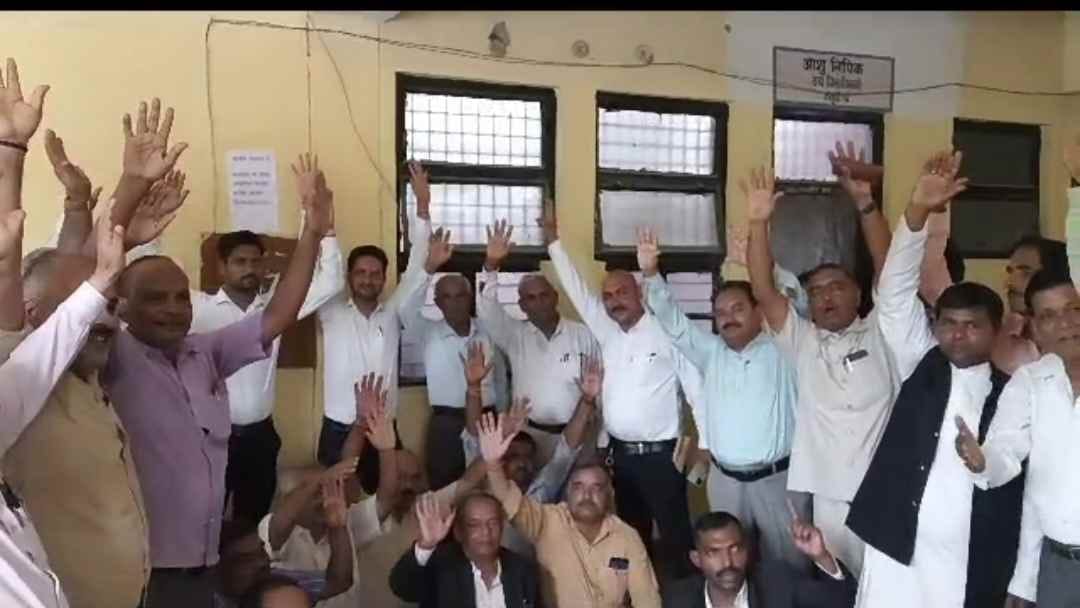 advocates protested