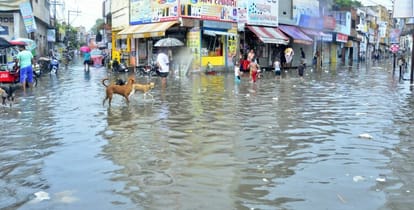 Water rained heavily relief from heat but problem due to waterlogging