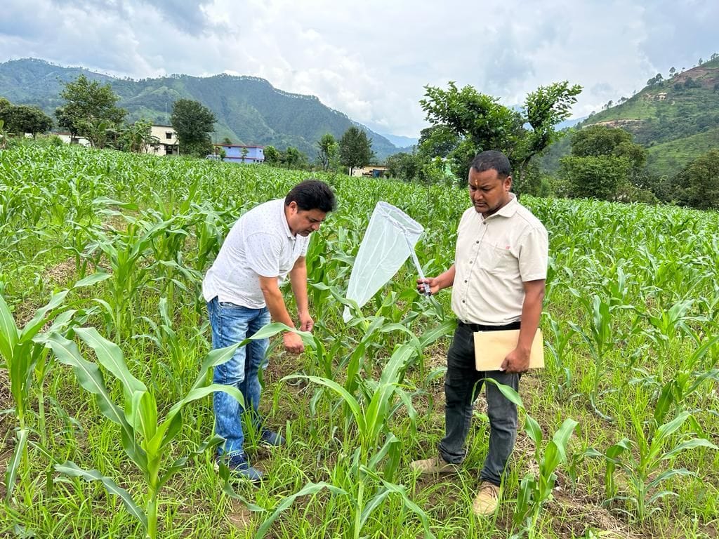 Inspection By KVK Team