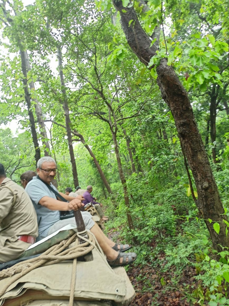 Dudhwa's food chain and surveillance reviewed