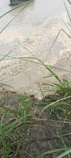 Officers are giving assurances... Sharda is reaping the crop