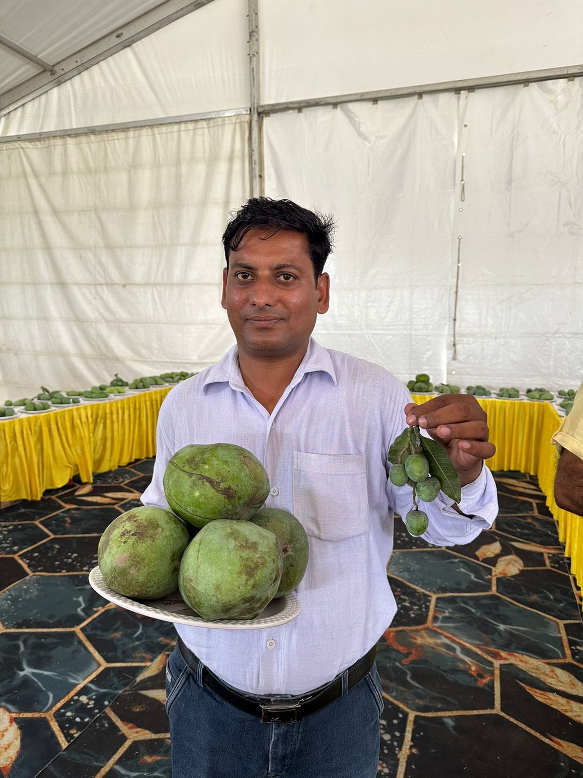 The king of fruits, Chausa Langda mango, is famous abroad, people are tasting it