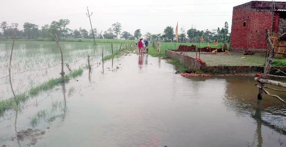 Two more houses in Ahirana drowned in the river, six in the grip of erosion