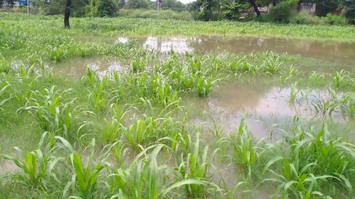 Block committee member's house and borewell sunk due to excess rain, water filled in the fields