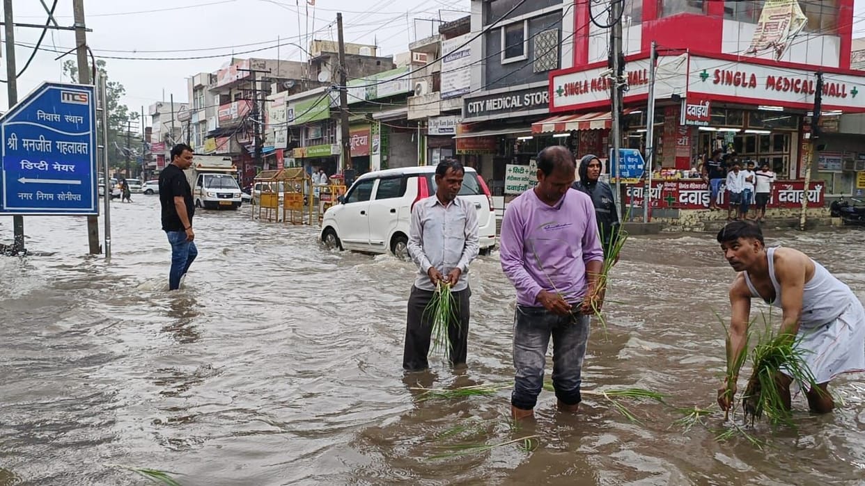 The reality of development was shown by planting paddy in the water filled on the road