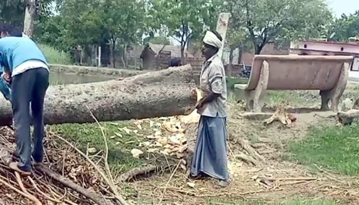 Trees were being cut on the banks of the pond, the police stopped them
