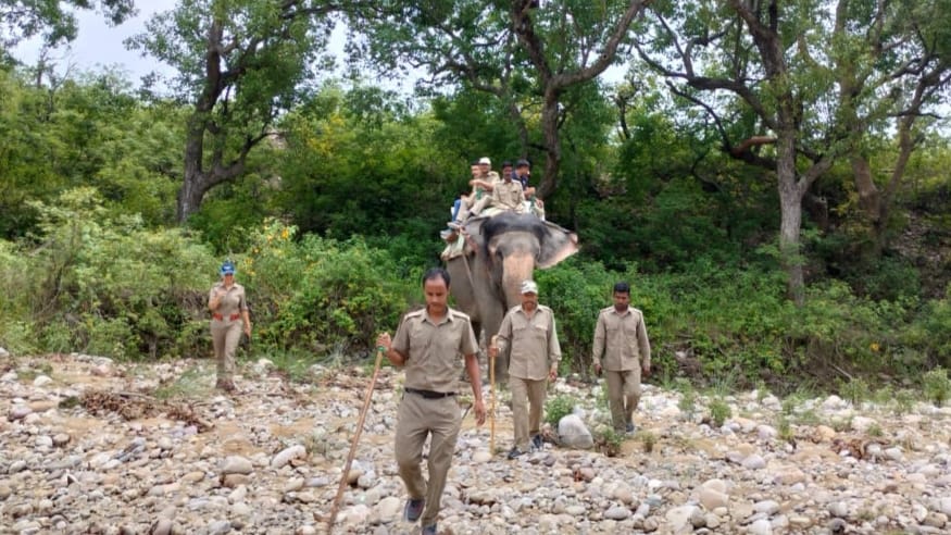 Roads destroyed in the rain, patrolling by elephants