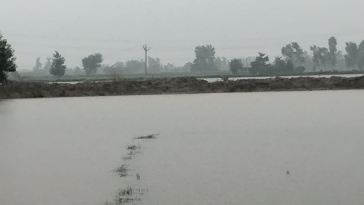 Mamour lake repaired after 24 hours