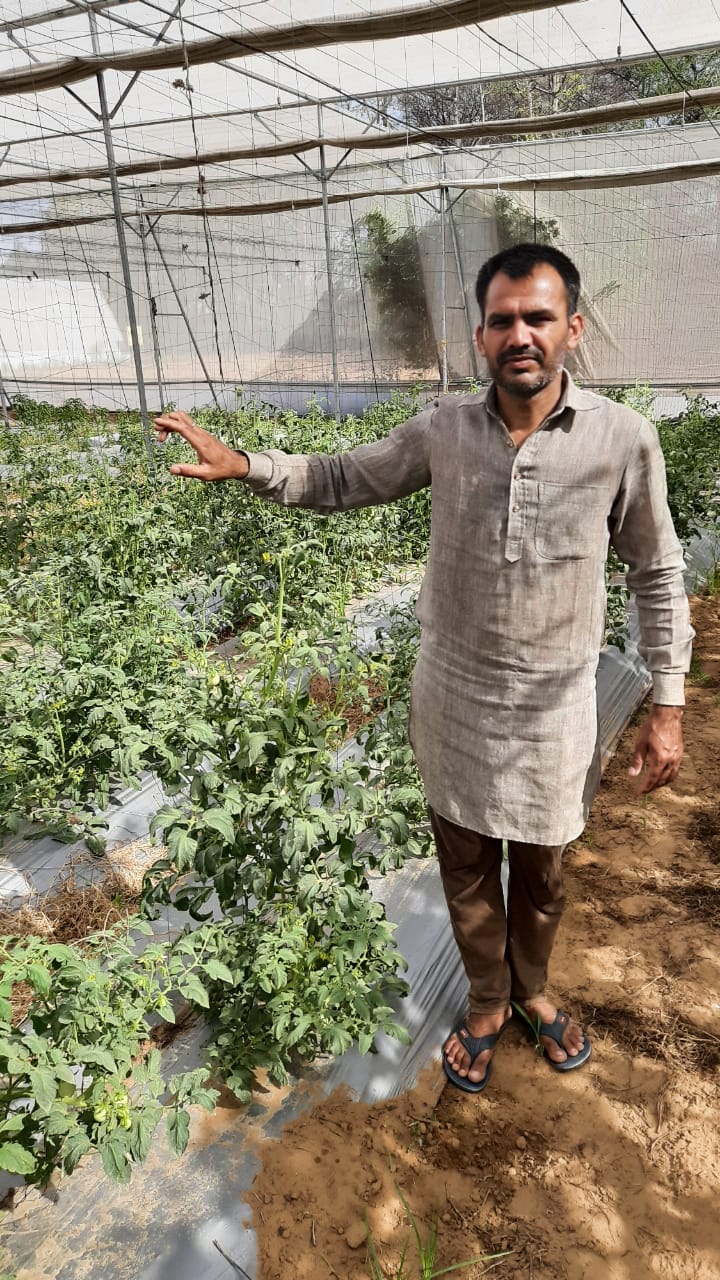 30 to 40 percent loss in vegetable and flower cultivation due to rain