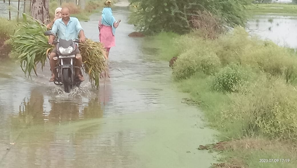 Pond overflows due to rain in Rewari Kheda village, increased trouble for villagers