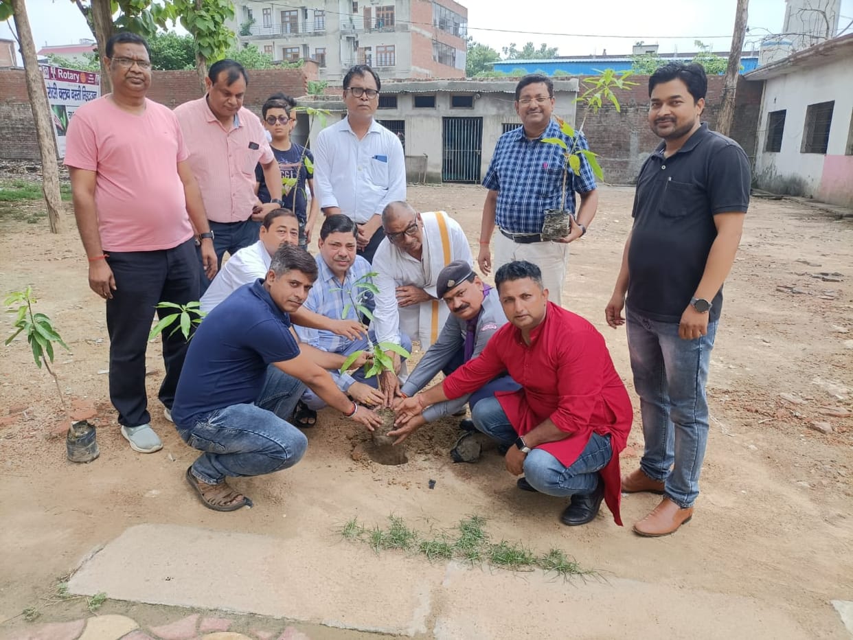 rotry club tree plantation