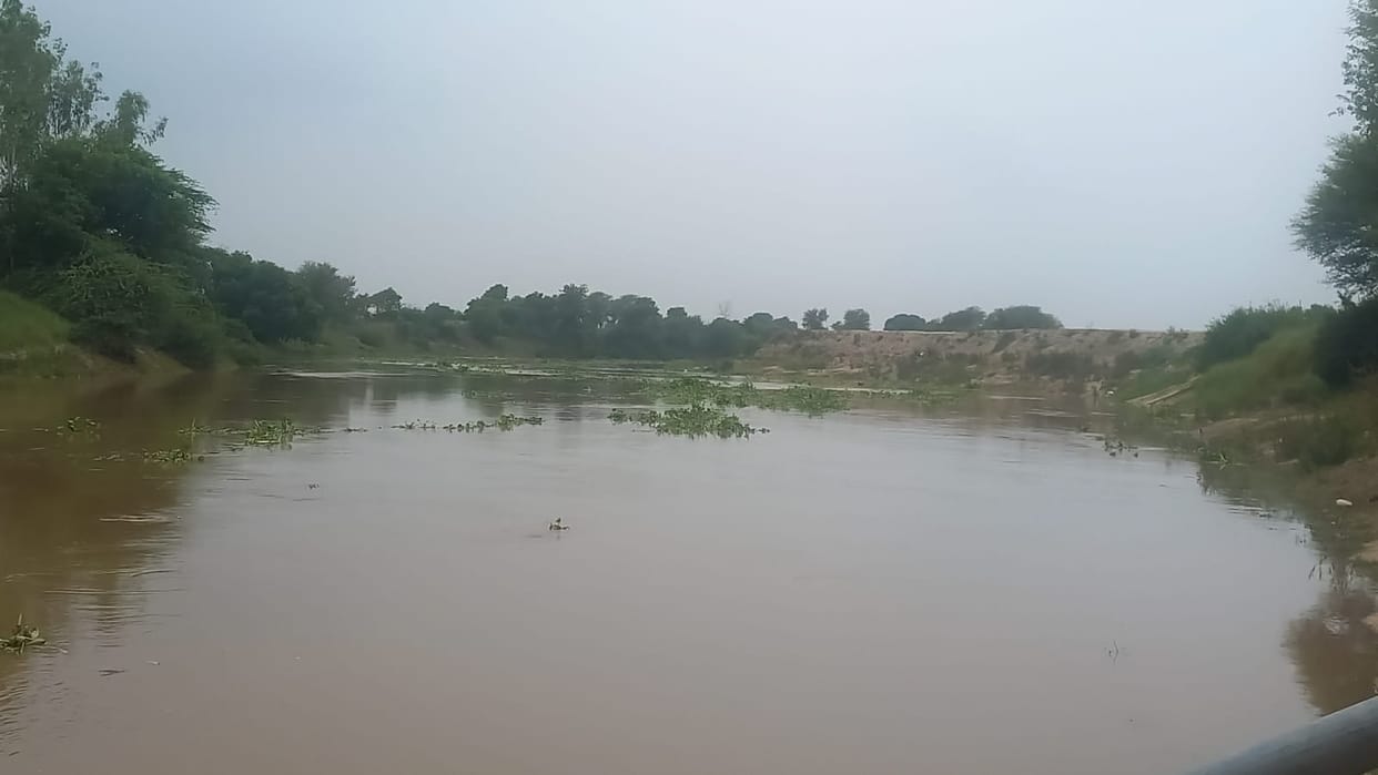 Ghaggar's water level increased by three thousand cusecs in 24 hours, expected to reach 15 thousand today