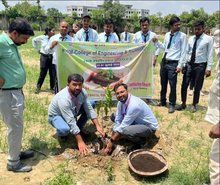 tree plantation