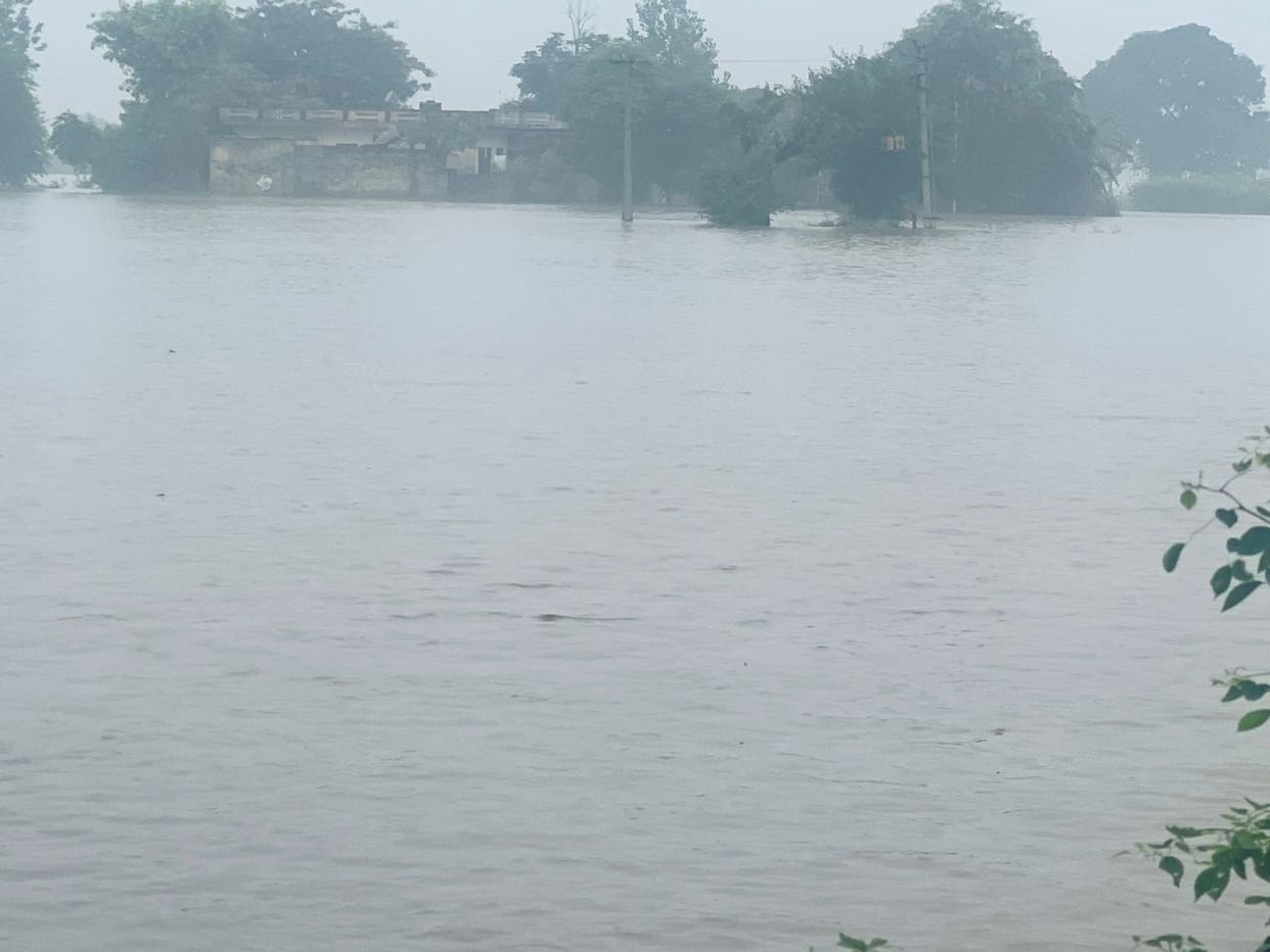 Uprooted road due to lack of evacuation, situation of confrontation
