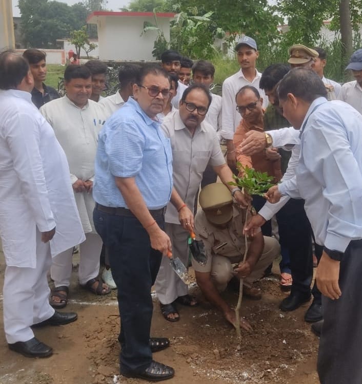 tree plantation