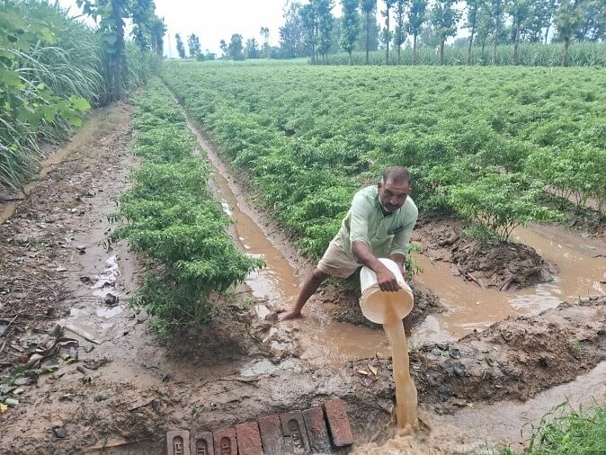 The rain dashed the hopes of vegetable farmers