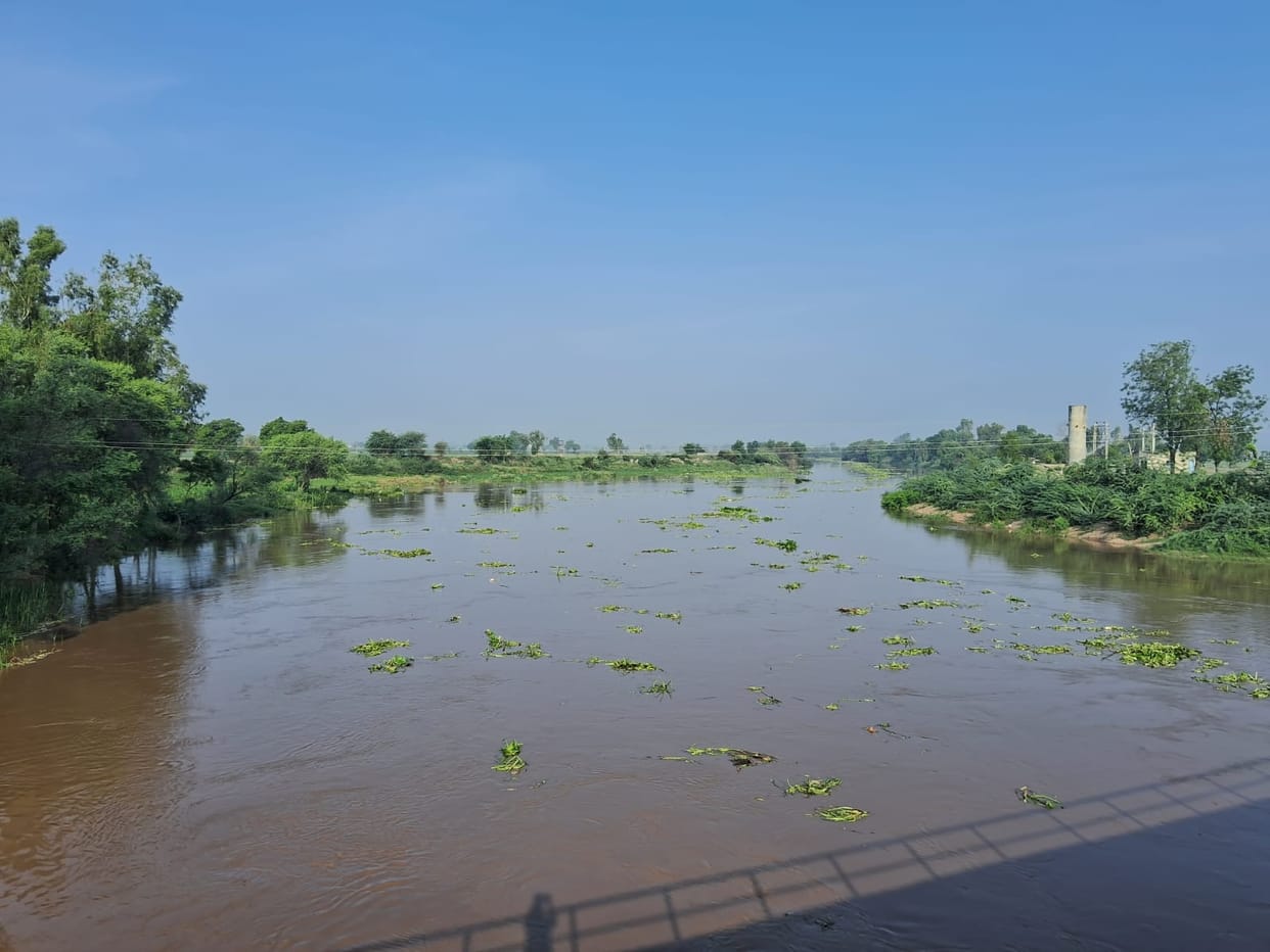 Ghaggar's water level reaches 16 thousand cusecs, 45 adjacent villages alerted