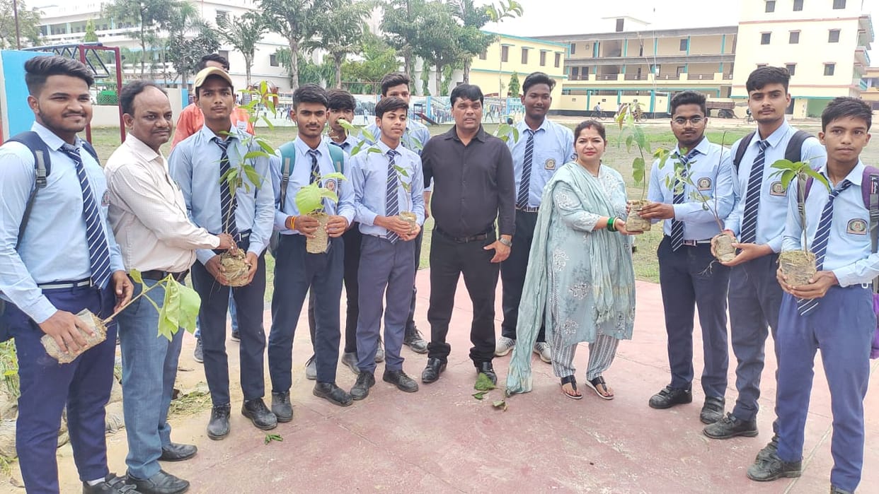 tree plantation