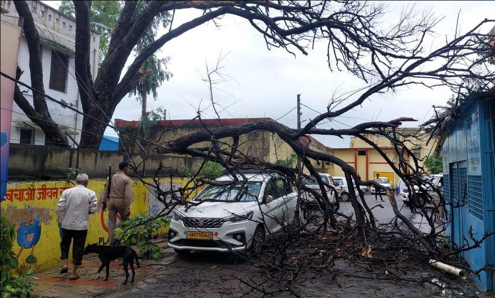 The branch of the tree broke and fell on the car and the power line