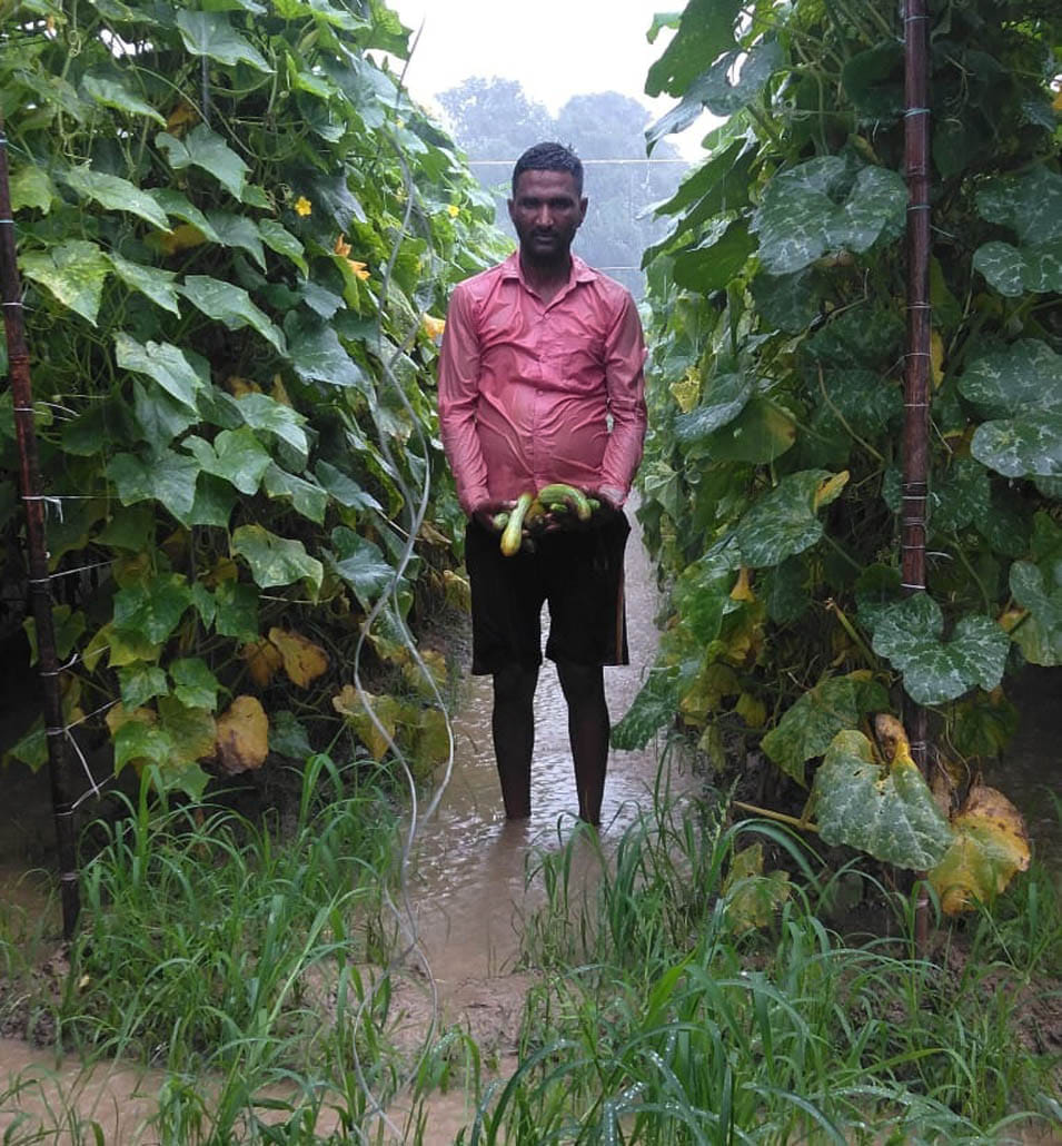 Due to increase in the water level in the Hindon river, the faces of the farmers wither.