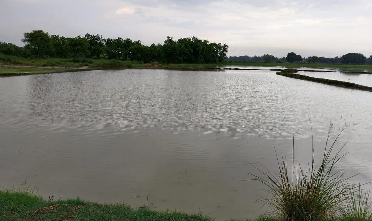 Waterlogging everywhere, be it city or village