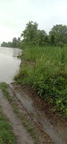 Sharda now targets forest land