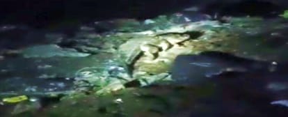 Crocodile reached the canal near the stadium