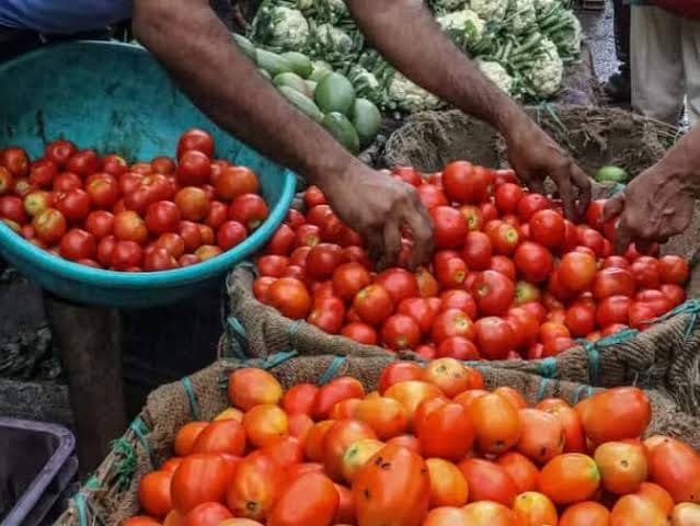Tomatoes being sold at arbitrary rates from brokers, puree missing