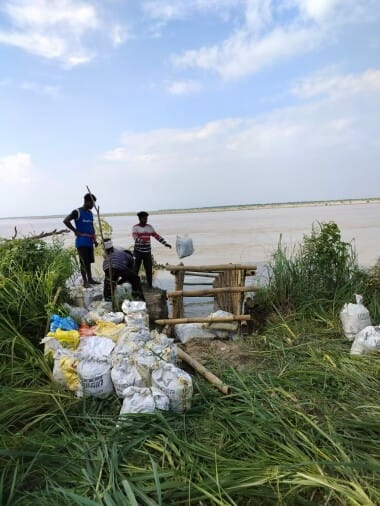 Bamboo crate planted in Chandia Hazara, Sharda's cutting speed slows down