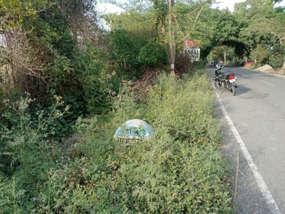 distance markers on the highway hidden in the bushes