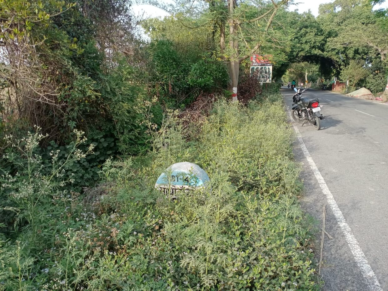 distance markers on the highway hidden in the bushes